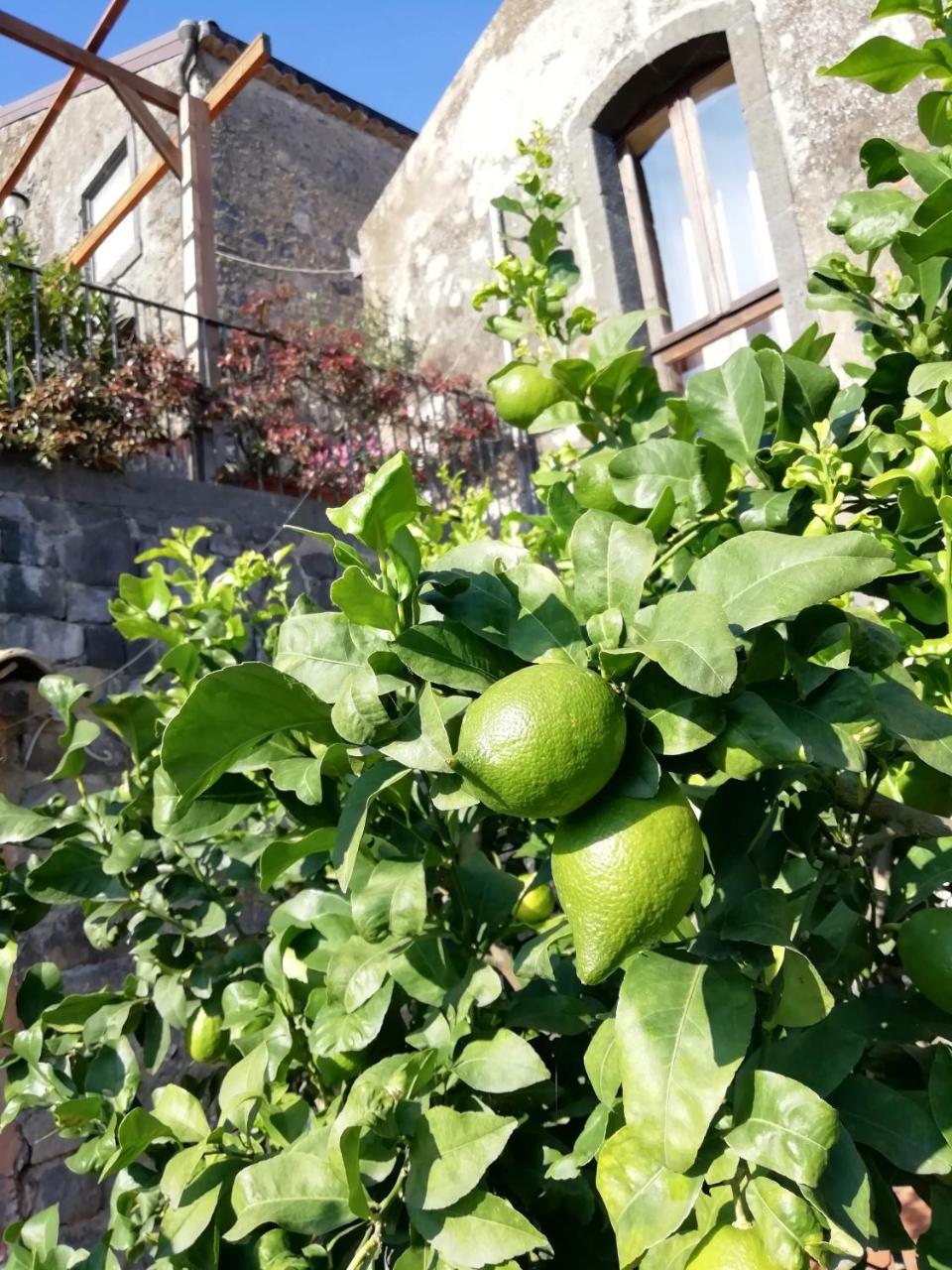 Willa La Pietra Antica O' Munti Mascali Zewnętrze zdjęcie